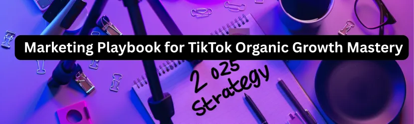The 2025 Marketing Playbook for TikTok Organic Growth Mastery