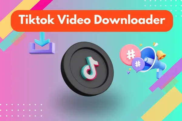 TikTok Video Downloader